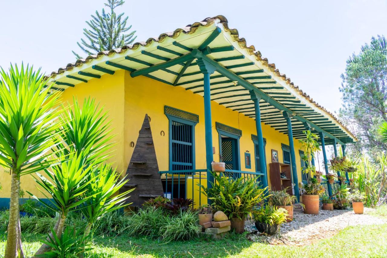 FINCA COCUYAL...todo un pesebre VIVO! Rionegro Exterior foto
